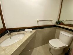 The Draycott (D10), Apartment #521128321